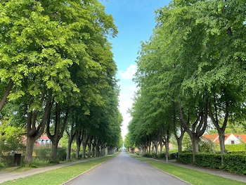 anneberg g stehus