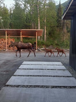 Stay Alaska - Modern Stays In The Wild,,5 star