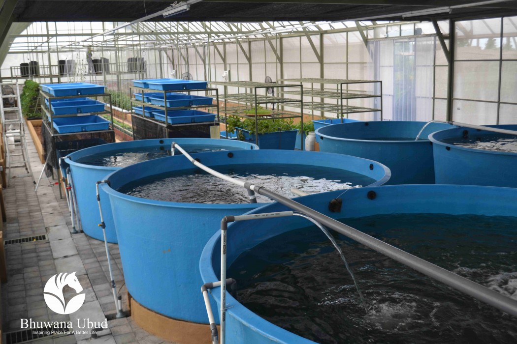 bhuwana ubud hotel and farming