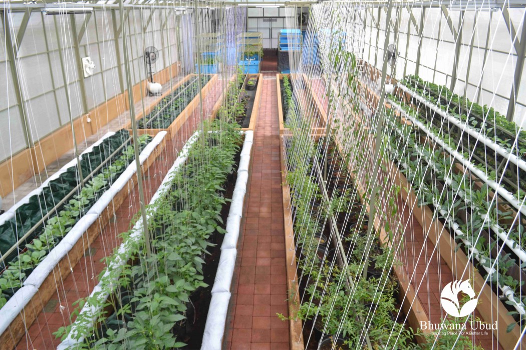 bhuwana ubud hotel and farming