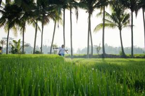 bhuwana ubud hotel and farming