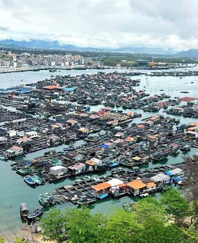 jinye sea view apartment