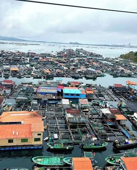 jinye sea view apartment