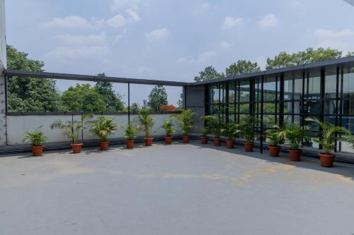 jovens central hotel
