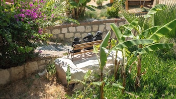 breeze alacati