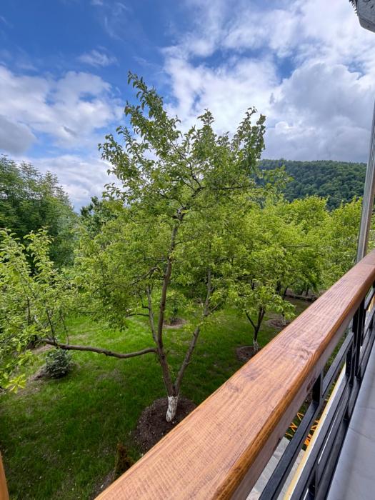 dilijan