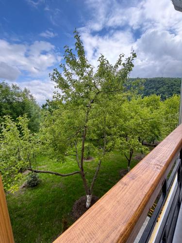 restart boutique hotel