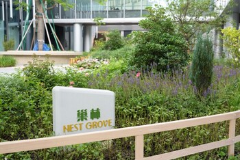 kimpton nine trees shanghai by ihg