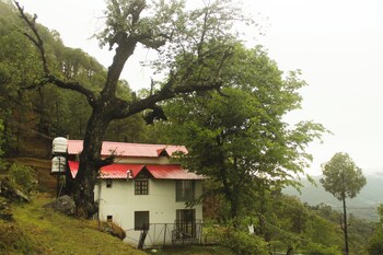 samar villa by trayati stays kasar devi binsar wildlife sanctuary