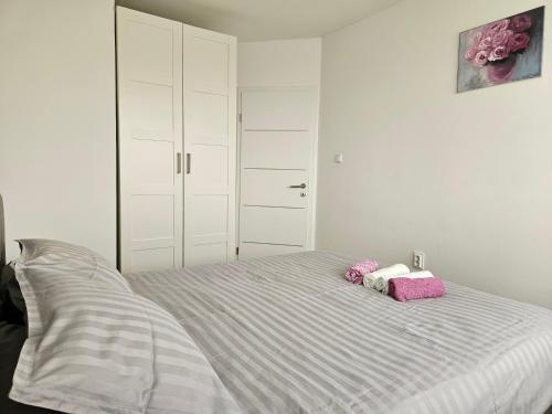 apartman fitt
