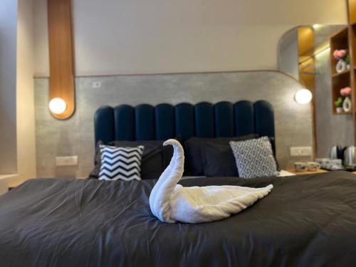 joeys hostel