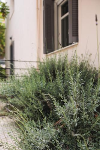 bugan villa athens