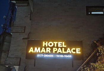 hotel amar palace shimla mountain view