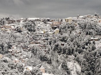 hotel amar palace shimla mountain view