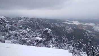 hotel amar palace shimla mountain view