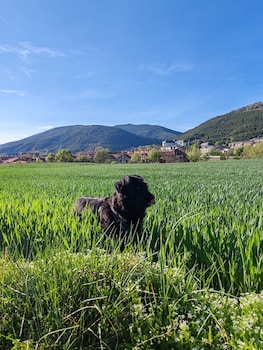 Hotel Acebo & Natura,,3 star