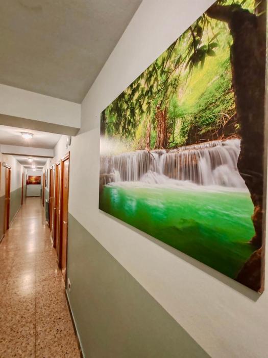 hotel acebo and natura