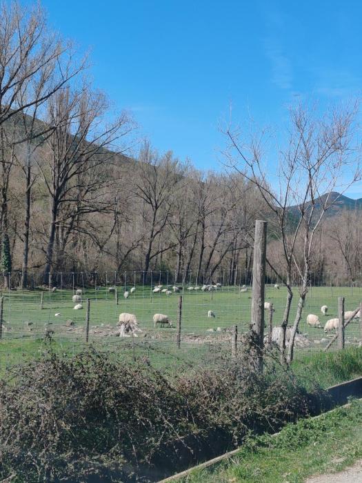 castiello de jaca