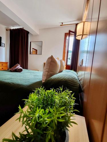 hotel acebo and natura