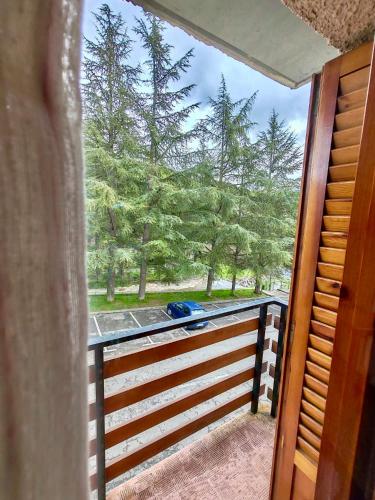 hotel acebo and natura