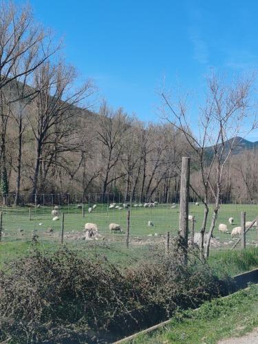 castiello de jaca