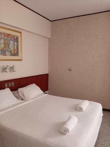 paranainn hotel asuncion