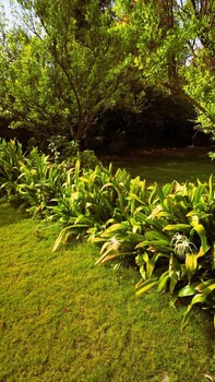the mannat farms