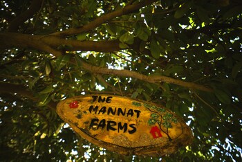the mannat farms