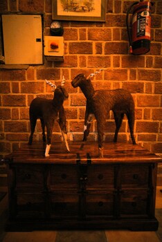 the mannat farms