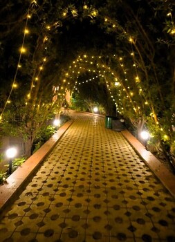 the mannat farms