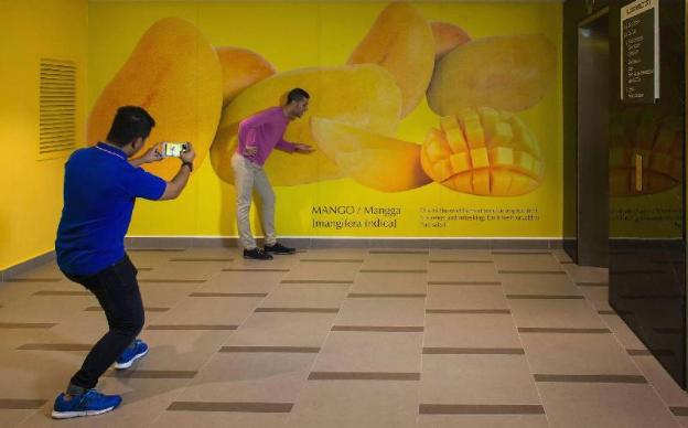 holiday inn express and suites johor bahru an ihg hotel