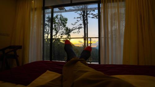 sunrise munnar by maat hotels