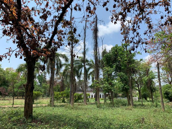 my moms village