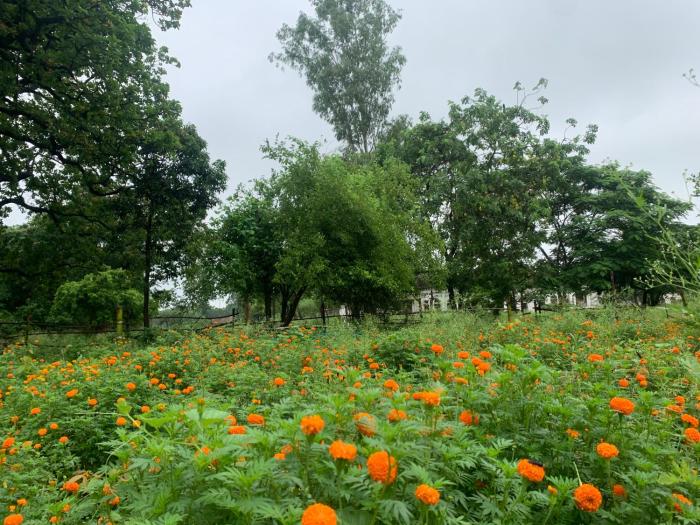 my moms village