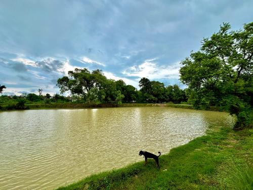 my moms village