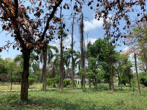 my moms village