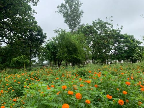 my moms village