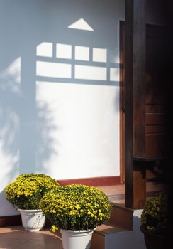 mekong riverside villa