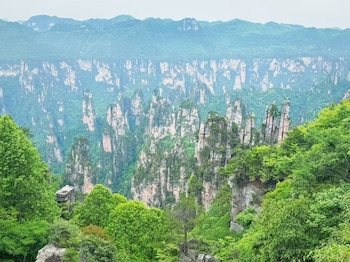 qitianyoupinzhangjiajiedayongguchengdian