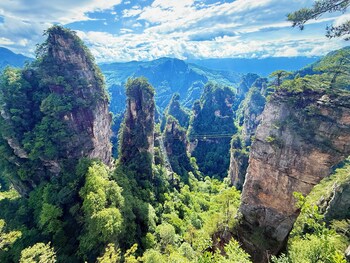 qitianyoupinzhangjiajiedayongguchengdian