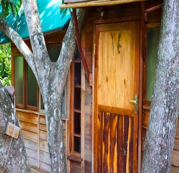 Heaven In Woods,,2 star