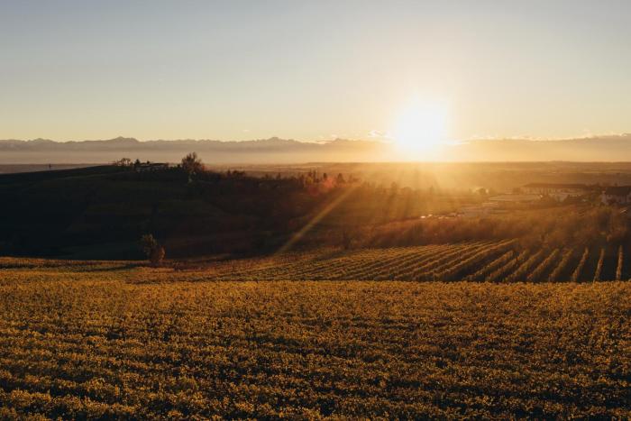 barolo
