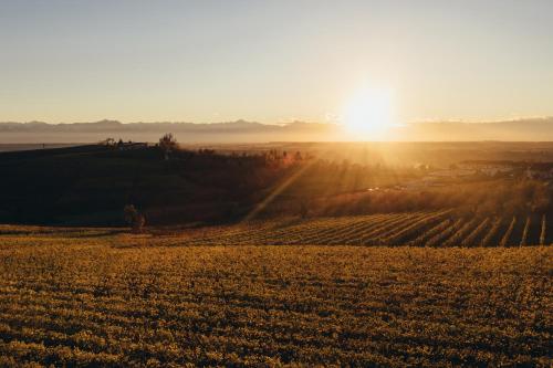 barolo