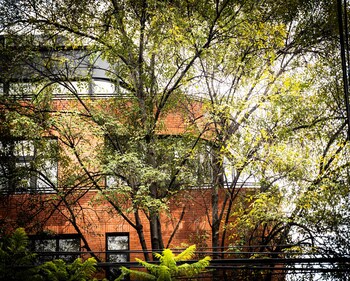 ema condesa