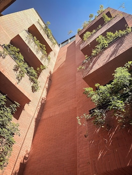 ema condesa