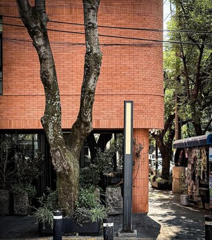 ema condesa