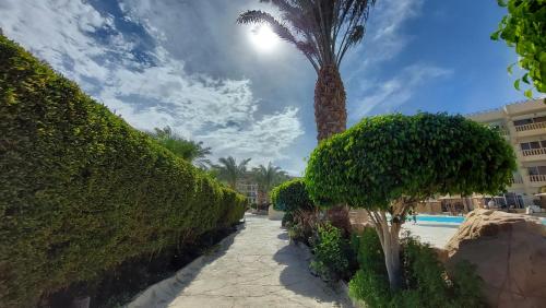 hurghada