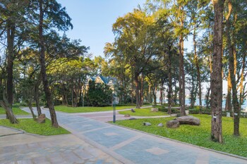metropark shenzhen bauhinia