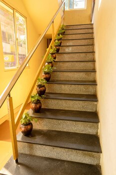 nestlay hotel ambatture