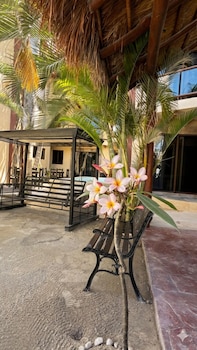 jardin del mar by ool hotels